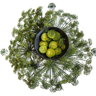 Dill Seeds, Bouquet