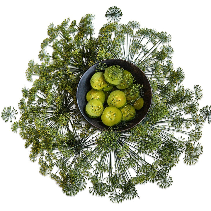 Dill Bouquet arrangement with pickled cucumbers.