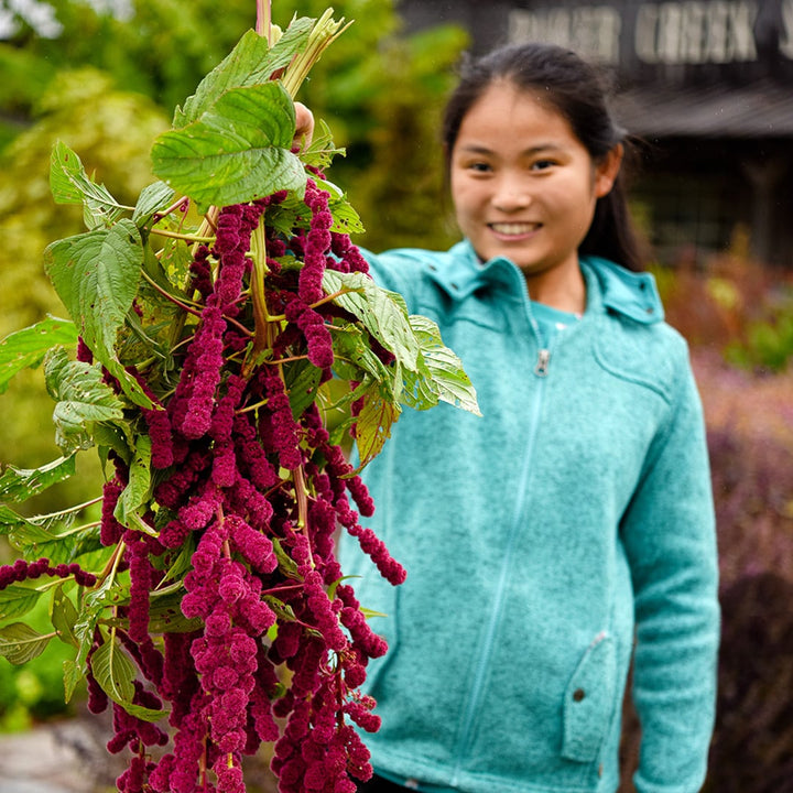A smiling girl holding out Dreadlocks Amaranth in the trial garden at Baker Creek.