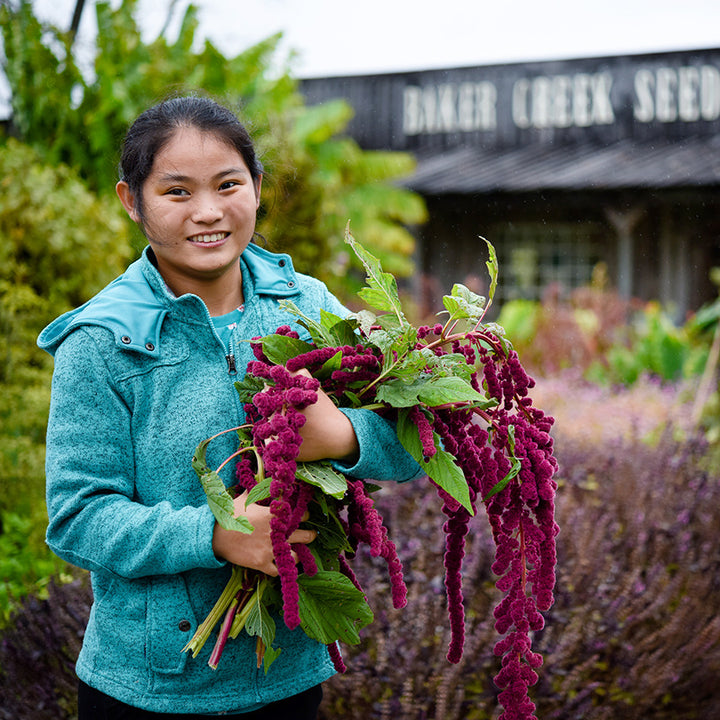 A smiling girl holding a bouquet of Dreadlocks Amaranth in front of the Baker Creek Seed Store.