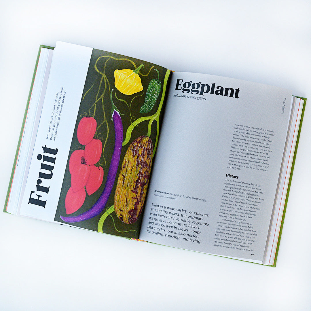 A look at the lovely illustrations in The Seed Hunter by Mitch McCulloch on a white background.