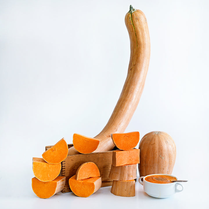 Cut and whole Long De Nice Winter Squash with squash soup in small white bowl.