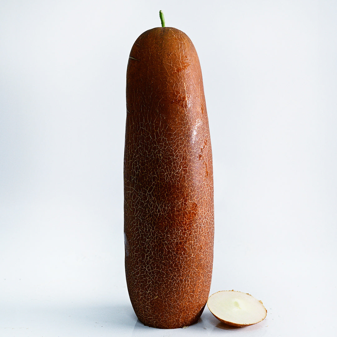 A single Gagon Cucumber with a slice centered on a white background.