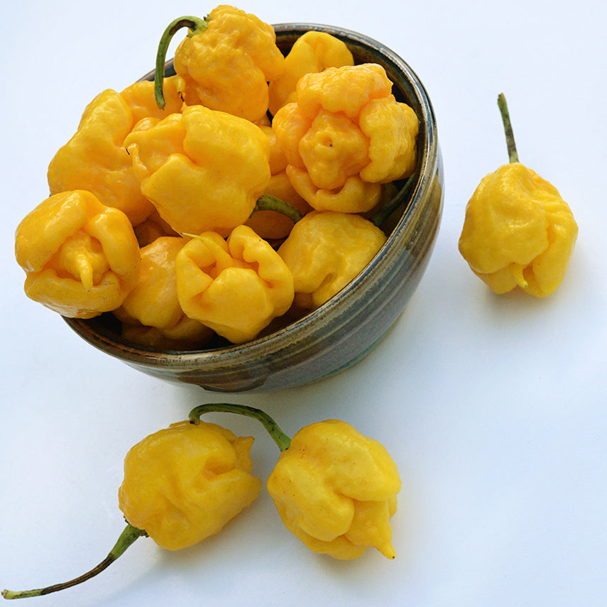 A bowl of Yellow Seven Pot Hot Peppers on a white background.