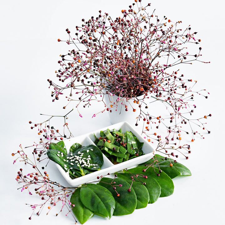 Jewels of Opar leaves cooked and made into a fresh salad with berries in vase.
