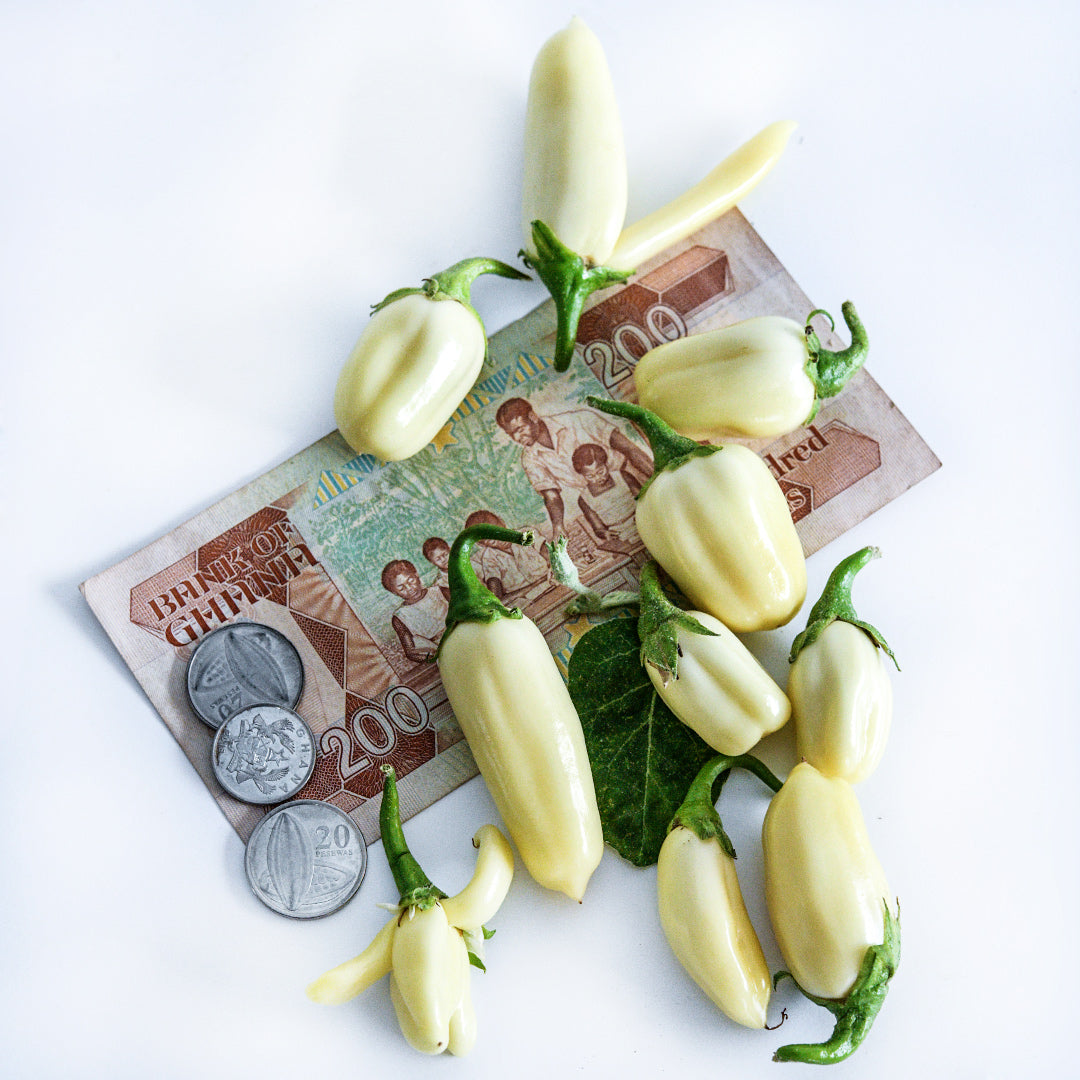 An overhead angle of African White Eggplants with money from Ghana to show size.