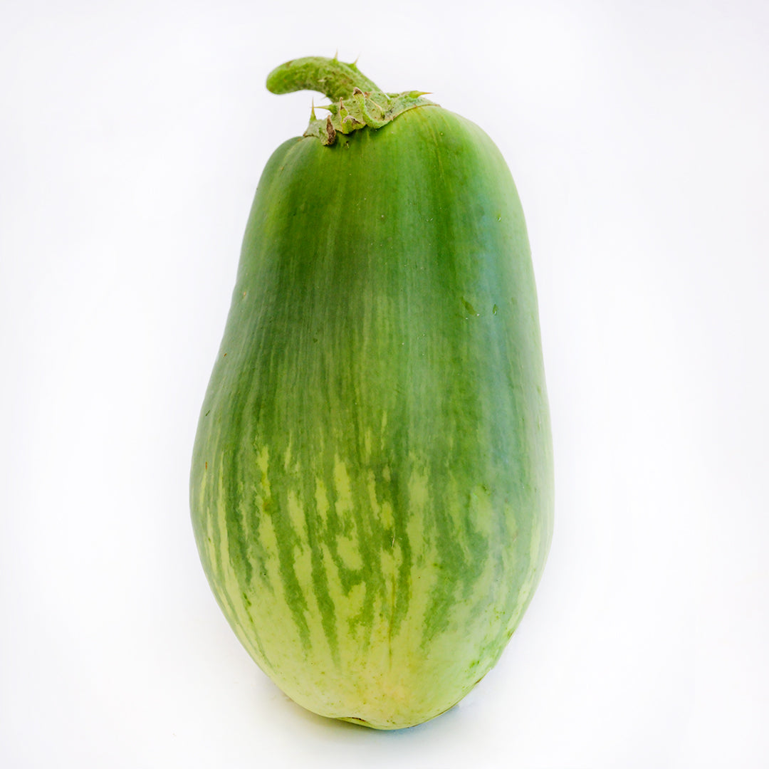 A single Giant of Barman Eggplant standing on a white background.