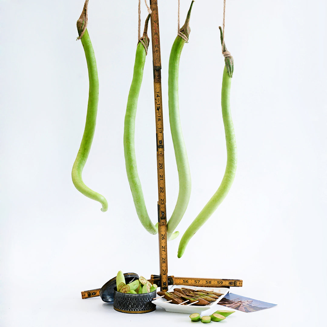 Long whole Illikomban Eggplant hanging from strings with cooked eggplant below on a white background.