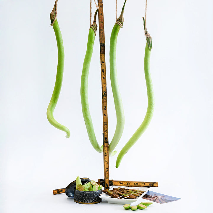 Long whole Illikomban Eggplant hanging from strings with cooked eggplant below on a white background.