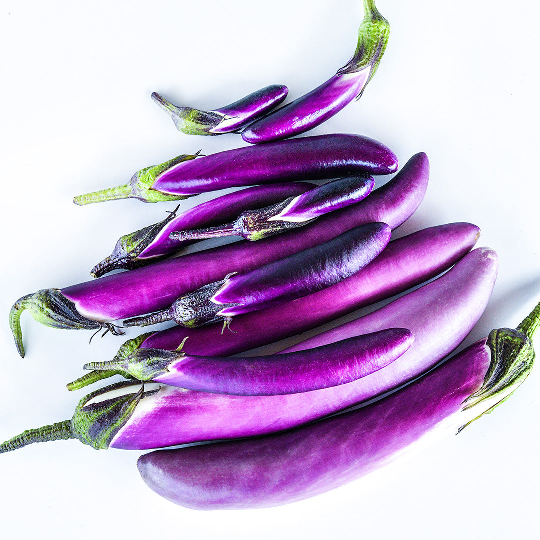 Malaysian Dark Red Eggplants arranged on white background.