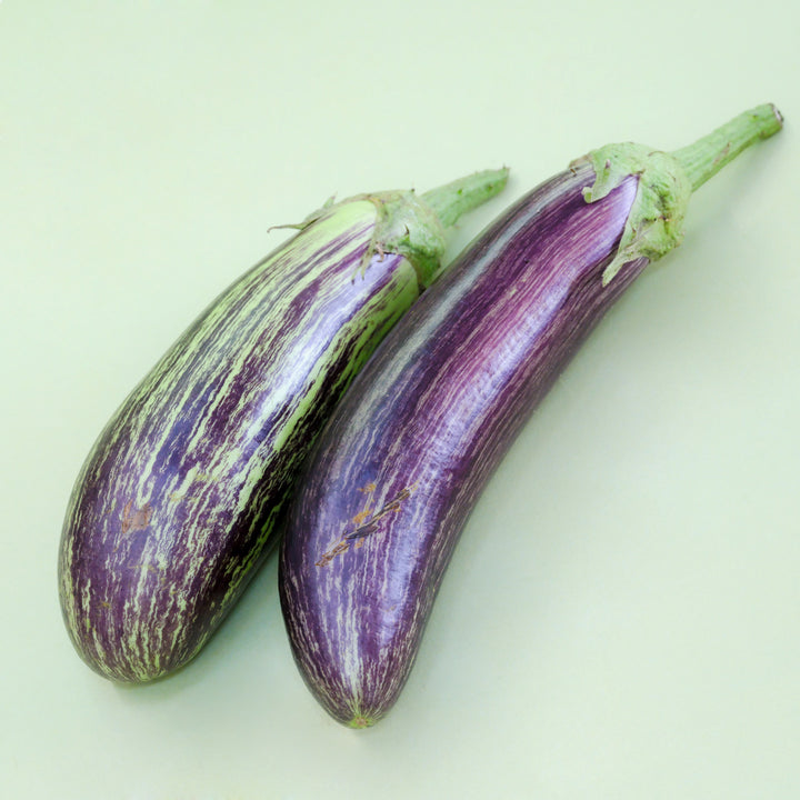 A couple of Niranjan Eggplants on a light green background.