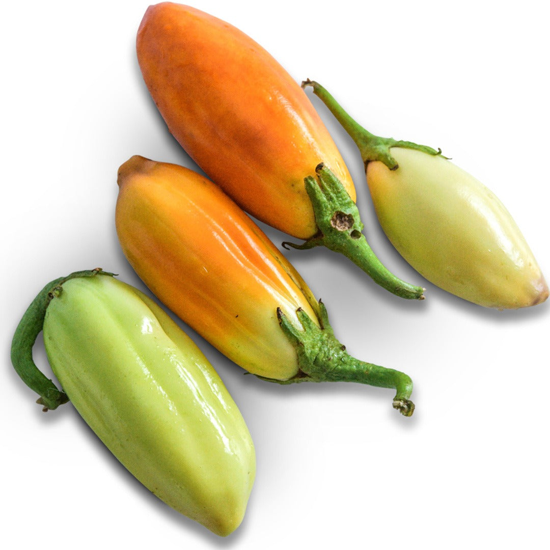 African White Eggplant in various shades on a white background.
