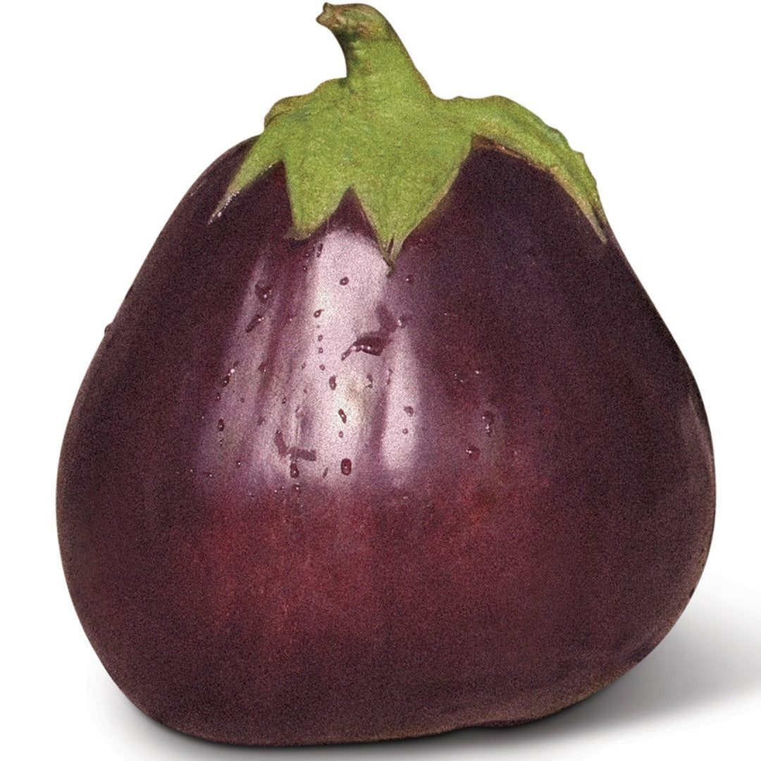 Aswad Eggplant on a white background.