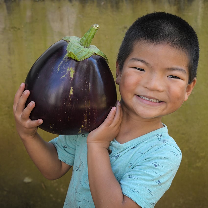 Cyan holding Aswad Eggplant.