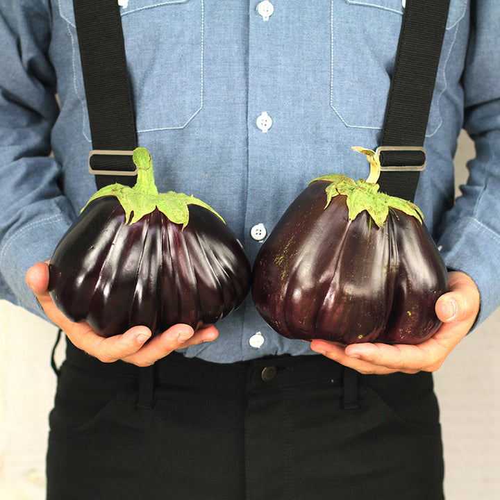 Eggplant Seeds, Black Beauty