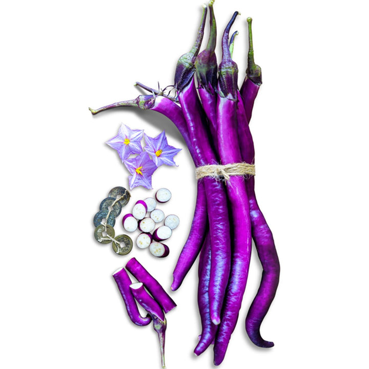 Bundle of Chinese String Eggplant with blooms on a white background.