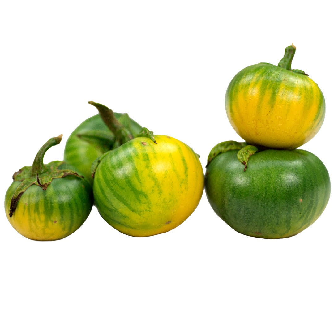 Gboma Eggplant arranged on a white background.
