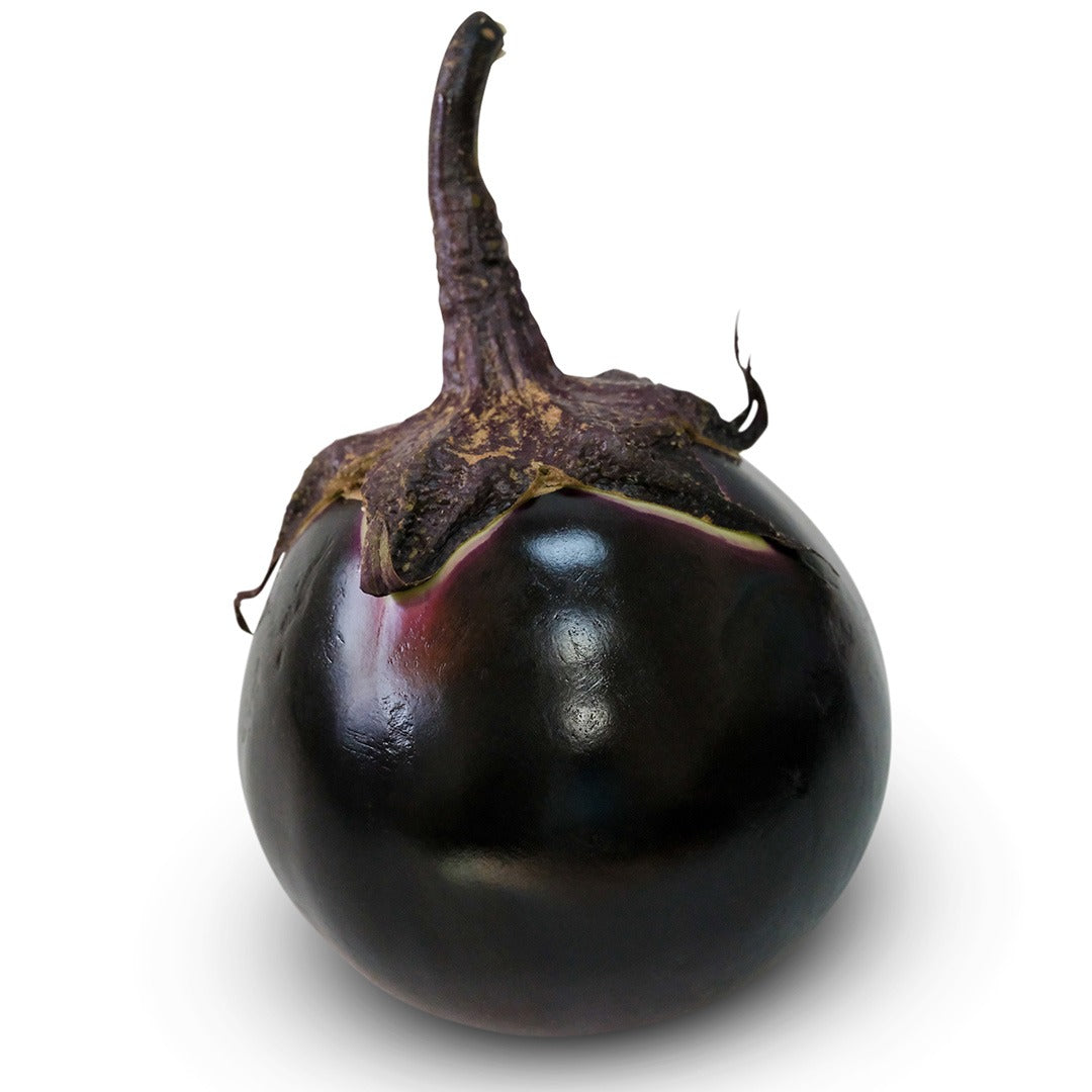 Kamo Eggplant on a white background.