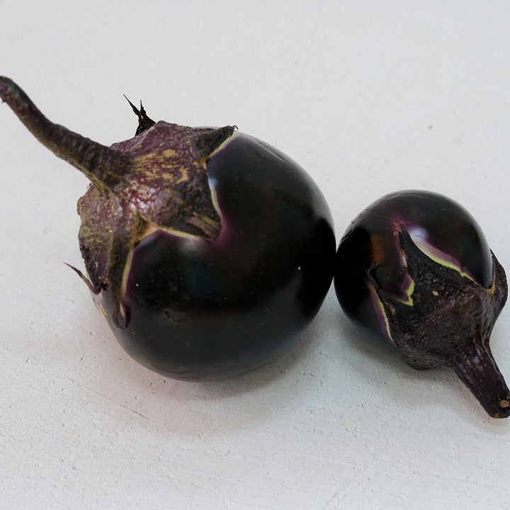 Duo of Kamo Eggplant on white background.