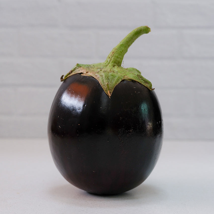 Close-up Kamo Eggplant with white background.