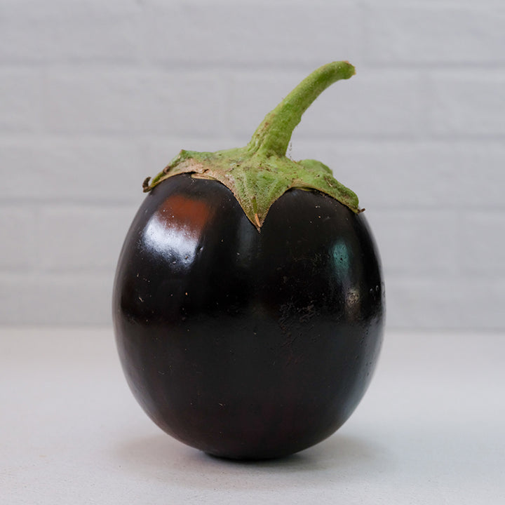 Close-up Kamo Eggplant with white background.