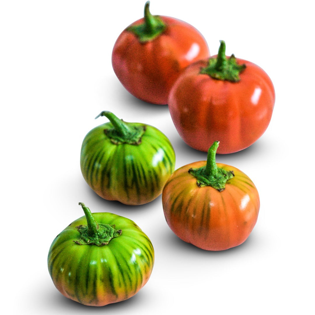 Melanzana Rossa Di Rotonda Eggplant arranged on a white background.