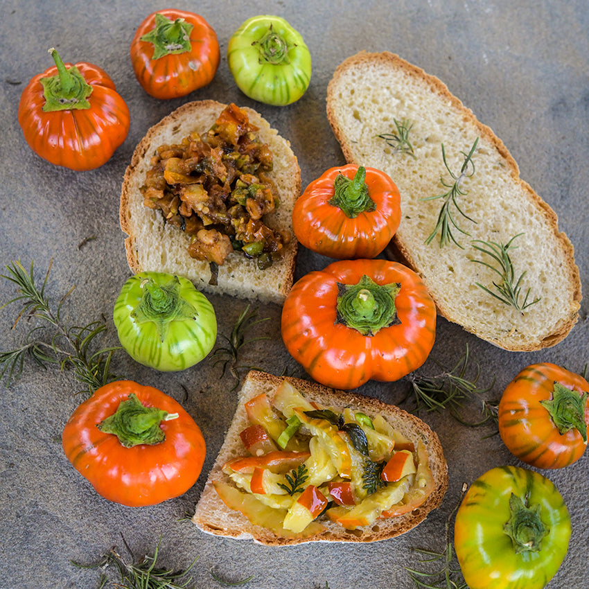 Eggplant Seeds, Melanzana Rossa di Rotonda