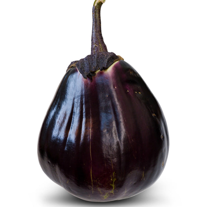 Single Mitoyo Eggplant on a white background.