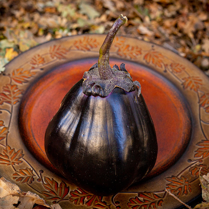 Mitoyo Eggplant on orange, fall inspired, plate.