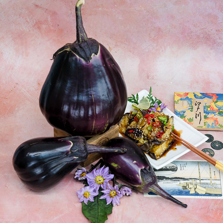 Mitoyo Eggplant next to prepared dish.