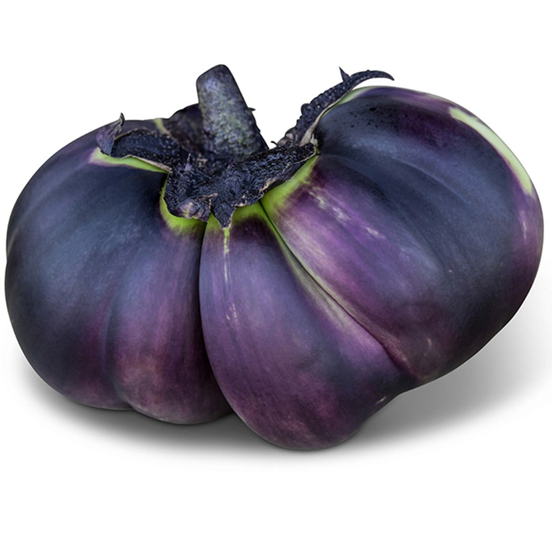 Close up of Nagaoka Kinchaku Eggplant on a white background.