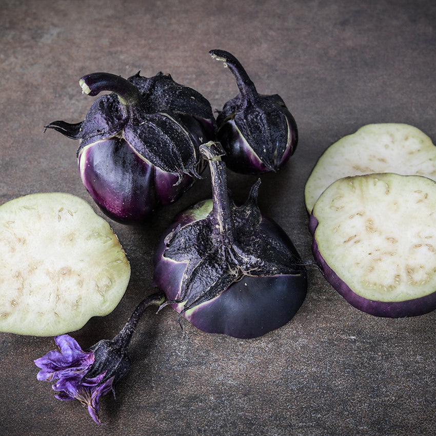 Eggplant Seeds, Nagaoka Kinchaku