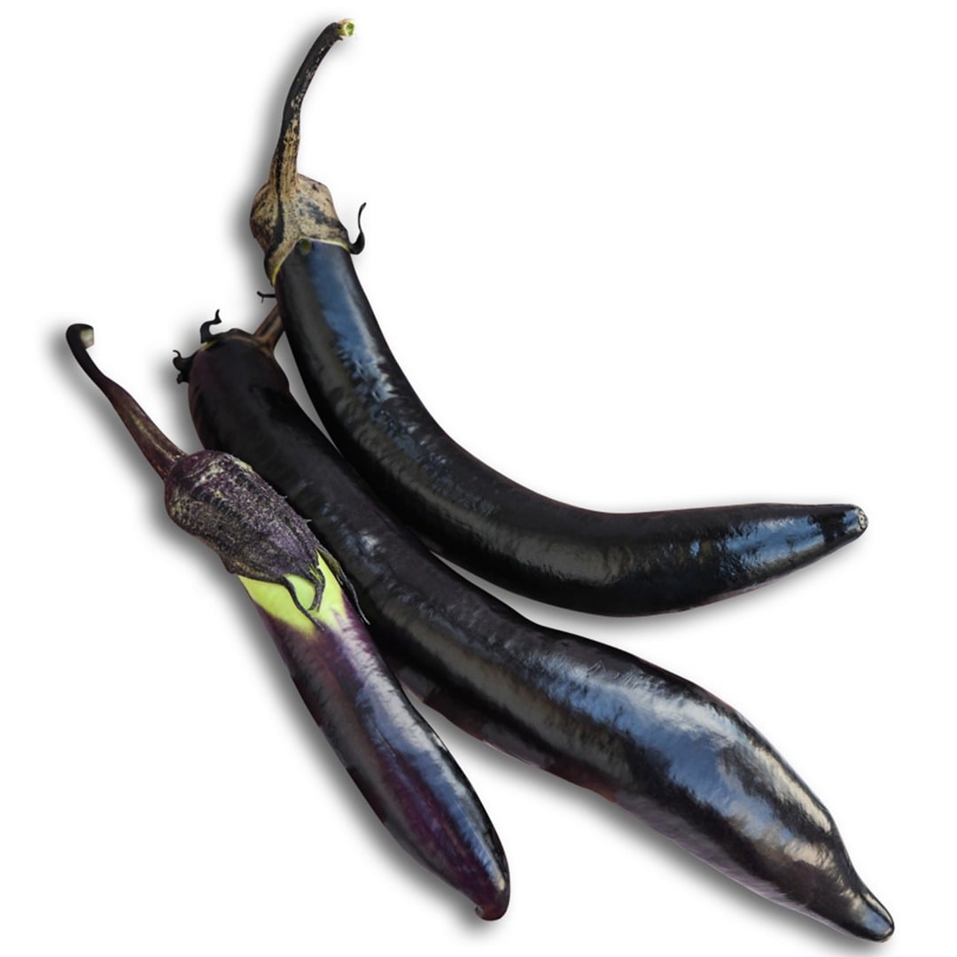 Trio of Nagasaki Long Eggplant on a white background.