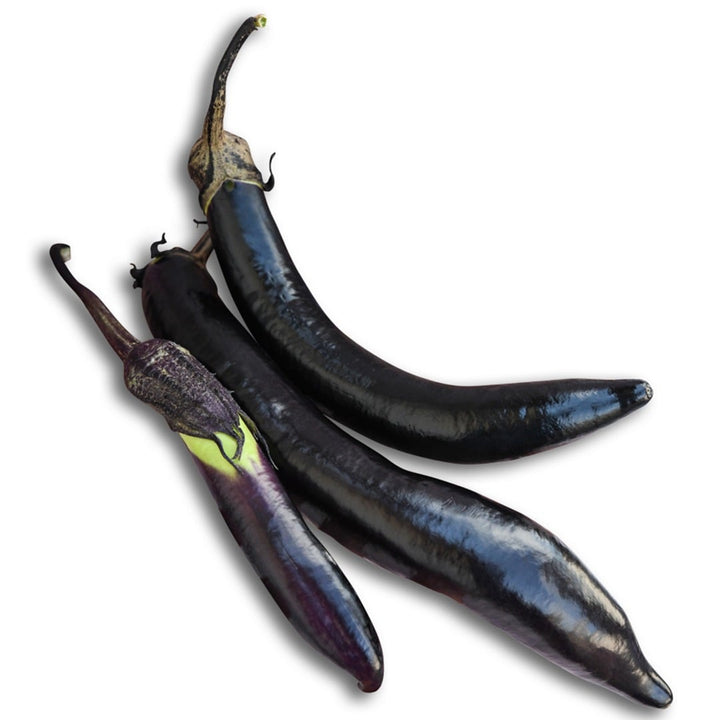 Trio of Nagasaki Long Eggplant on a white background.