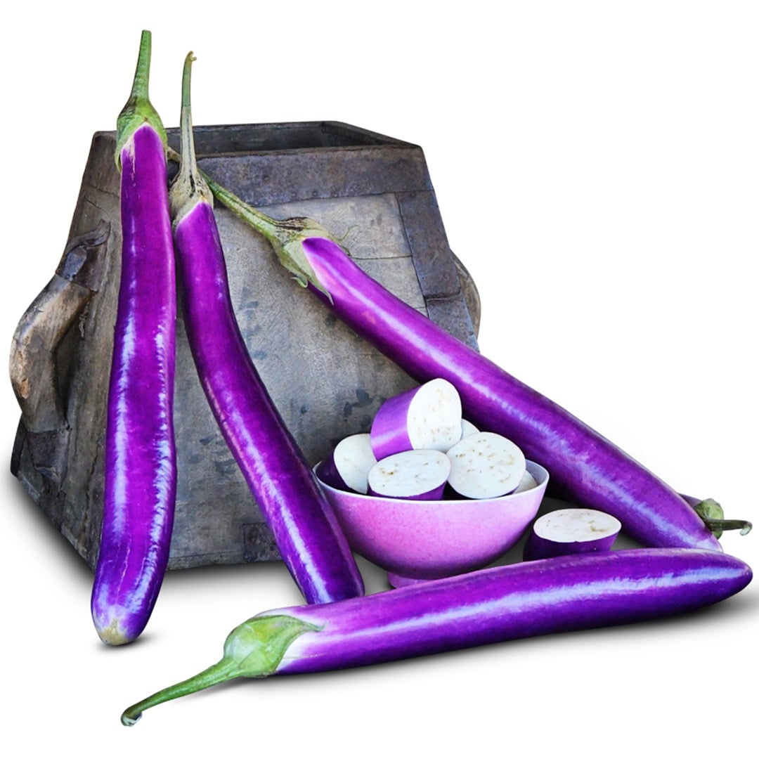 Ping Tung Eggplant against wooden prop on a white background.