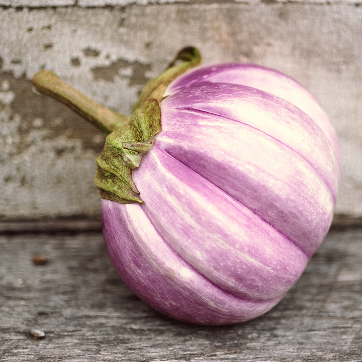 Eggplant Seeds, Rosa Bianca