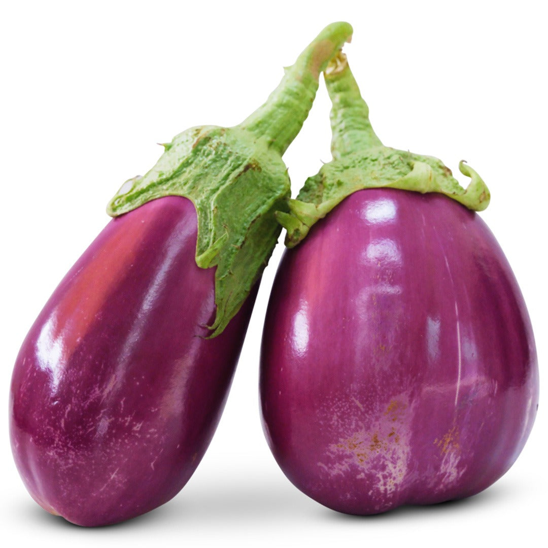 Pair of Rosita Eggplant on a white background.