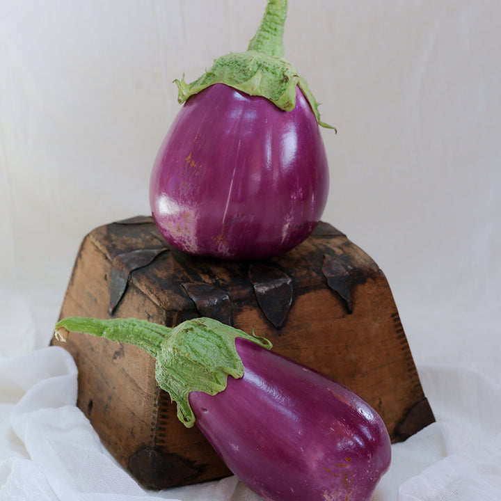 Eggplant Seeds, Rosita