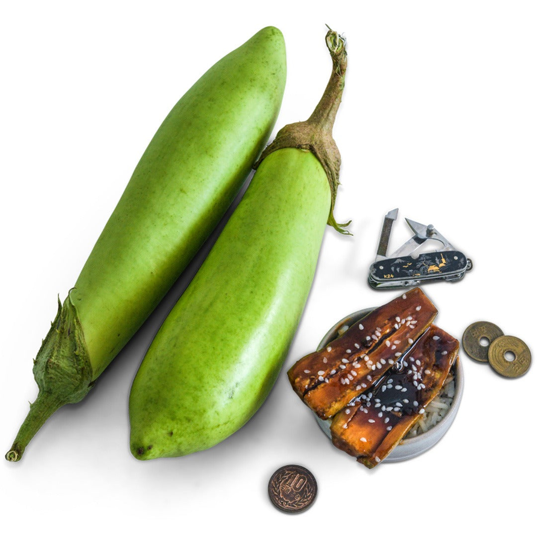 Satsuma Long Eggplant with fried Eggplant on a white background.