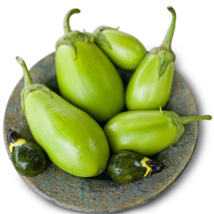 Shiromaru Eggplant in a dish on a white background.