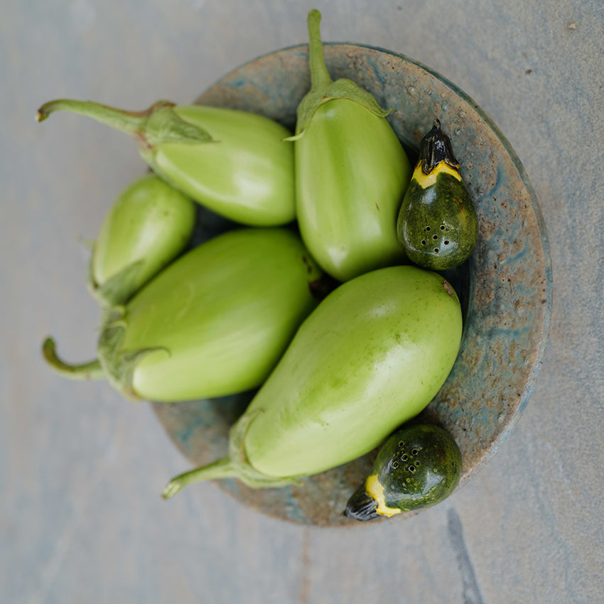 Shiromaru Eggplants in splatter printed bowl.