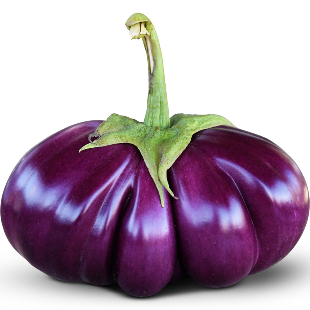 Close up of Thai Purple Ribbed Eggplant on a white background.