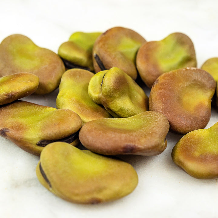 An extreme close-up of Masterpiece Fava Beans on a white background.