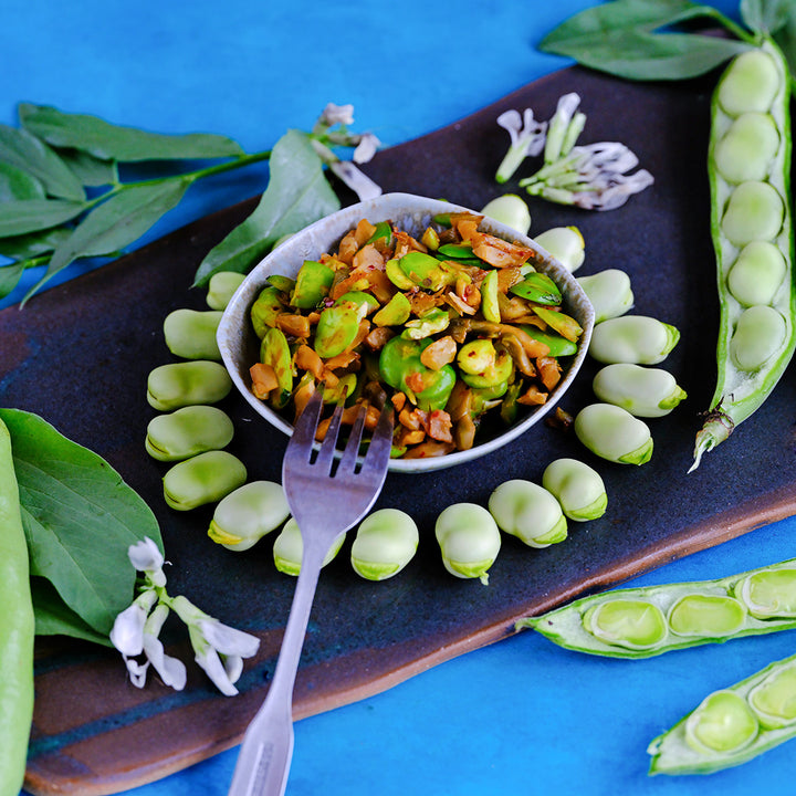 Broad Windsor Fava Bean recipe in a bowl surrounded by beans,
