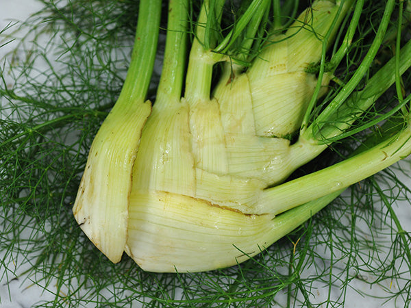 Fennel Seeds, Florence