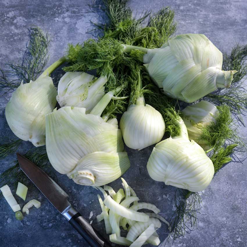 Florence Fennel bulbs and fronds on blue speckled countertop