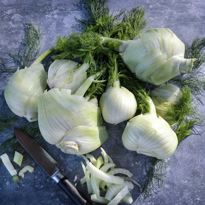 Florence Fennel bulbs and fronds on blue speckled countertop
