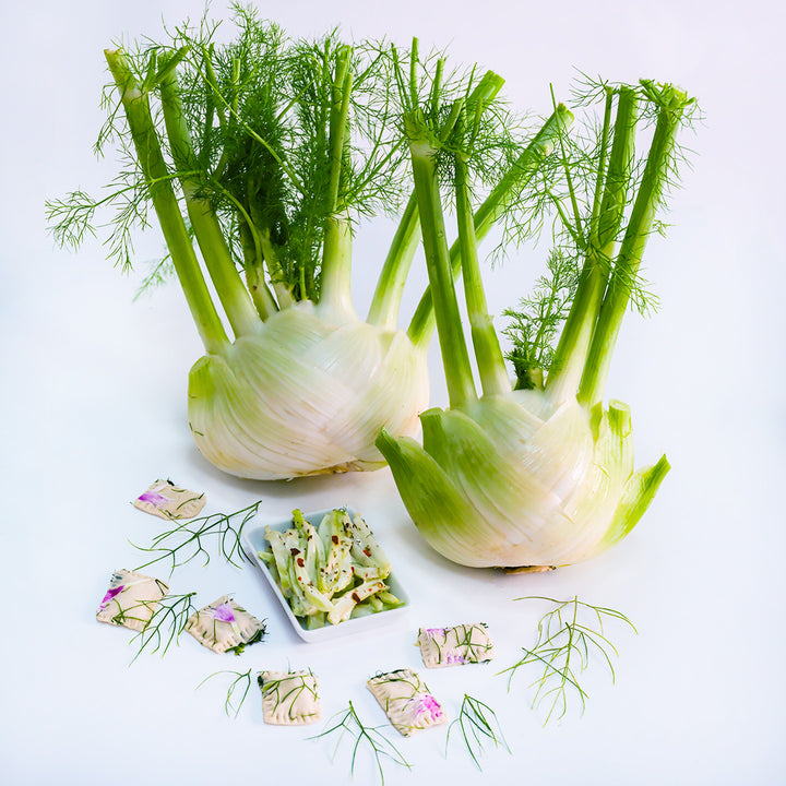 Wadenromen Fennel with sauteed fennel with ravioli on white background.