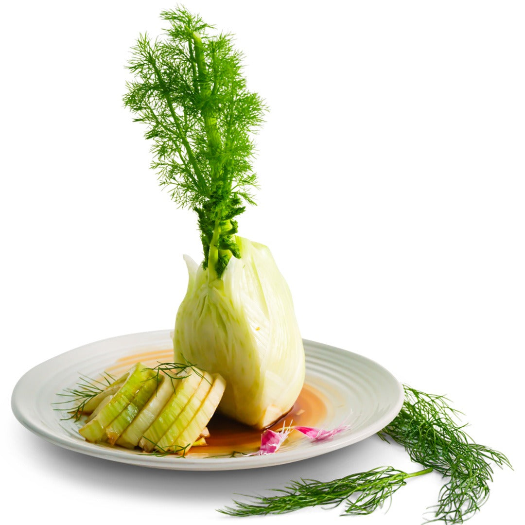 Florence Fennel on a white plate on a white background.