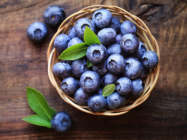 Blueberry, Northcountry (2 plants) March-May. Ships prompt weekly as available.